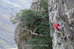 Dave MacLeod on King Wad E4 6a. Llanberis Pass. North Wales.